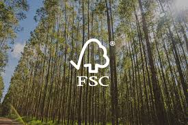 FSC Brasil procura iniciativas de manejo florestal na caatinga