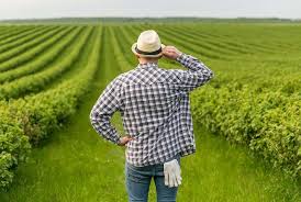 Erros em notas fiscais travam créditos de ICMS no agro e ampliam perdas financeiras no campo