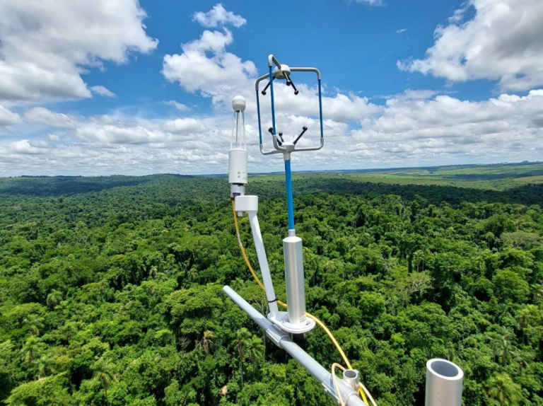 Bracell destaca remoção de 6 milhões de toneladas de CO₂ e avanço no monitoramento climático com torres de fluxo