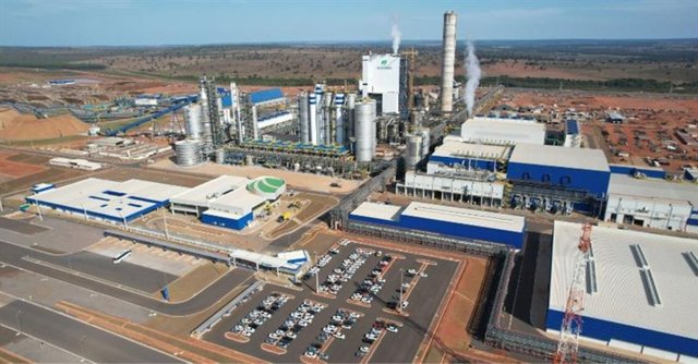 Suzano abre seis vagas em Brasilândia, Ribas do Rio Pardo e Três Lagoas (MS)