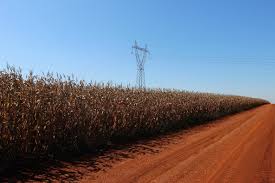 FETAEP repudia reajuste de 20,51% na tarifa de energia e alerta para impactos na agricultura familiar