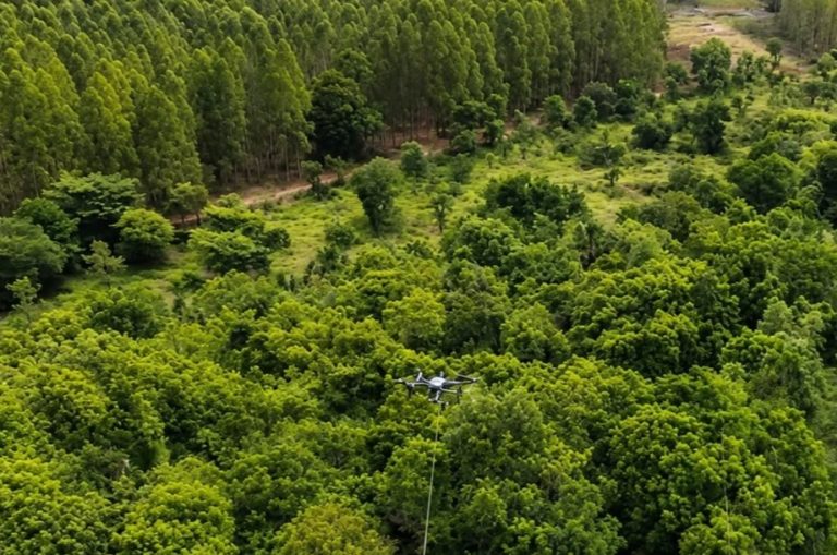Arauco usa drones para instalar cabos de alta tensão e reduzir impacto ambiental em MS