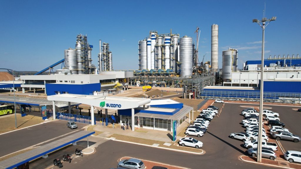 Suzano abre 10 vagas para instrutores florestais em Água Clara, Bataguassu, Ribas do Rio Pardo e Três Lagoas (MS)