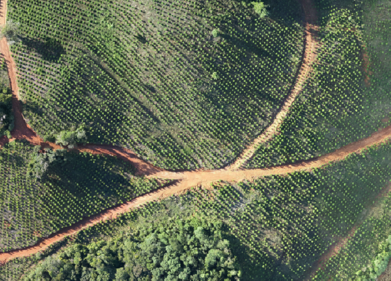 Irani investe em tecnologia para fortalecer a gestão florestal no Meio-Oeste de Santa Catarina