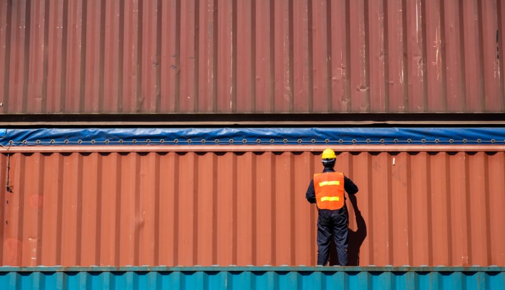 Exportações de madeira caem 8% no primeiro semestre